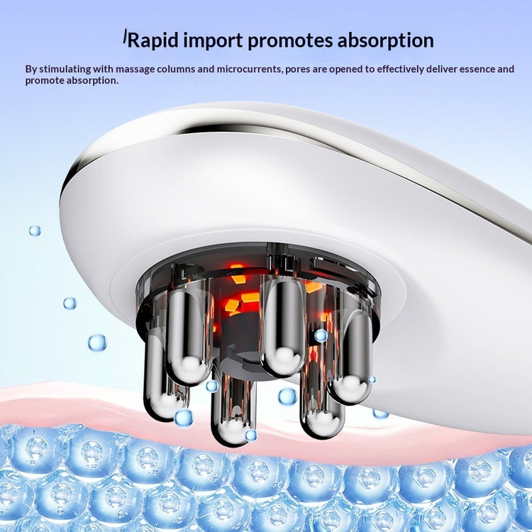 REVELA 7 Color LED Mask Red Light Therapy Skin Rejuvenation Massager 